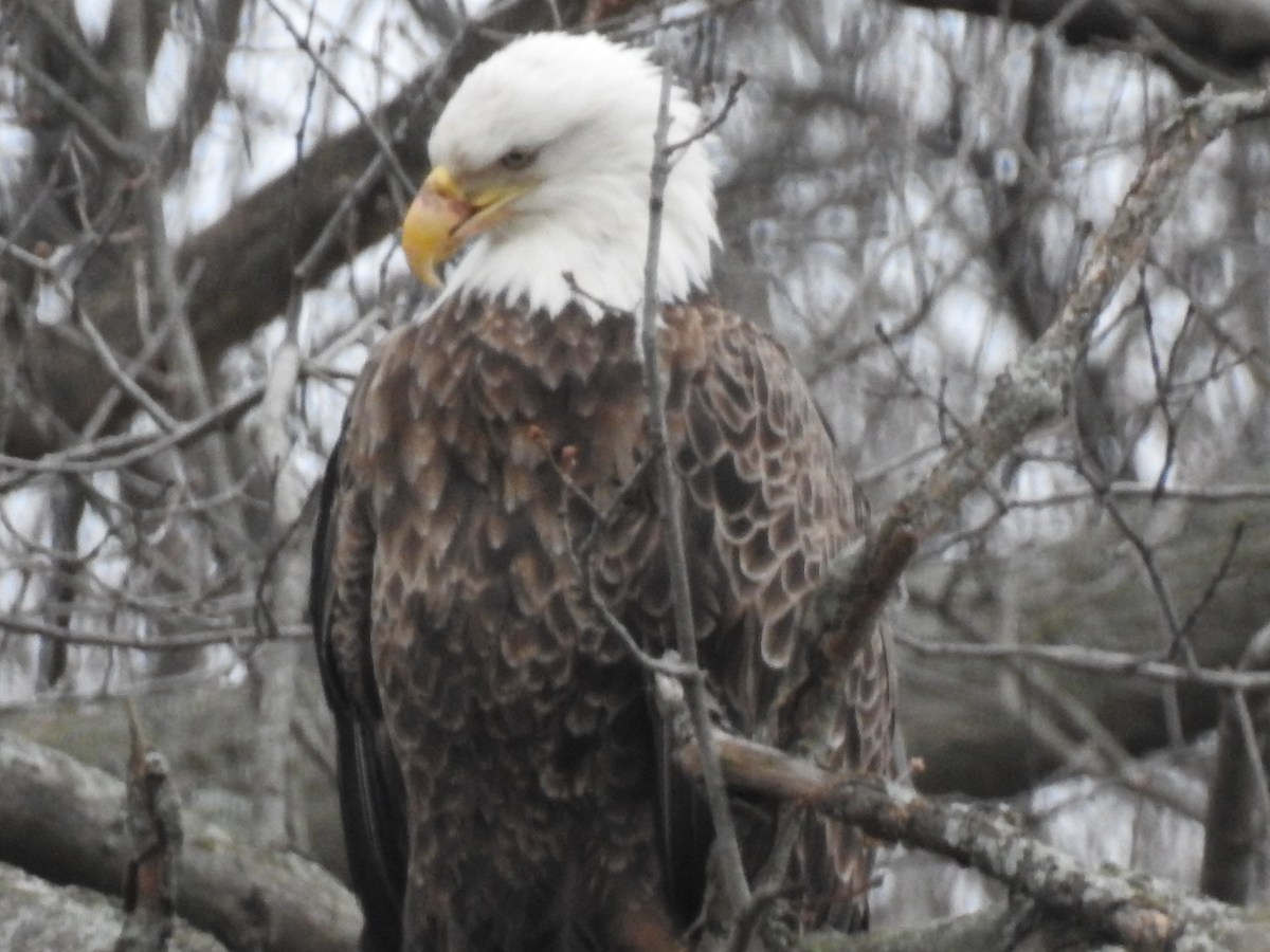 Team Humanity’s game plan should include “Wake Up Happy” routines, a buddy system, and anchors that allow for&nbsp;drift